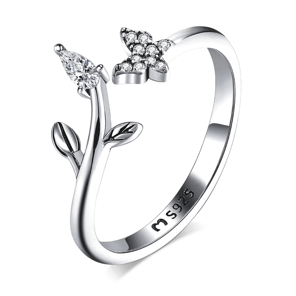 Anillo Naturaleza