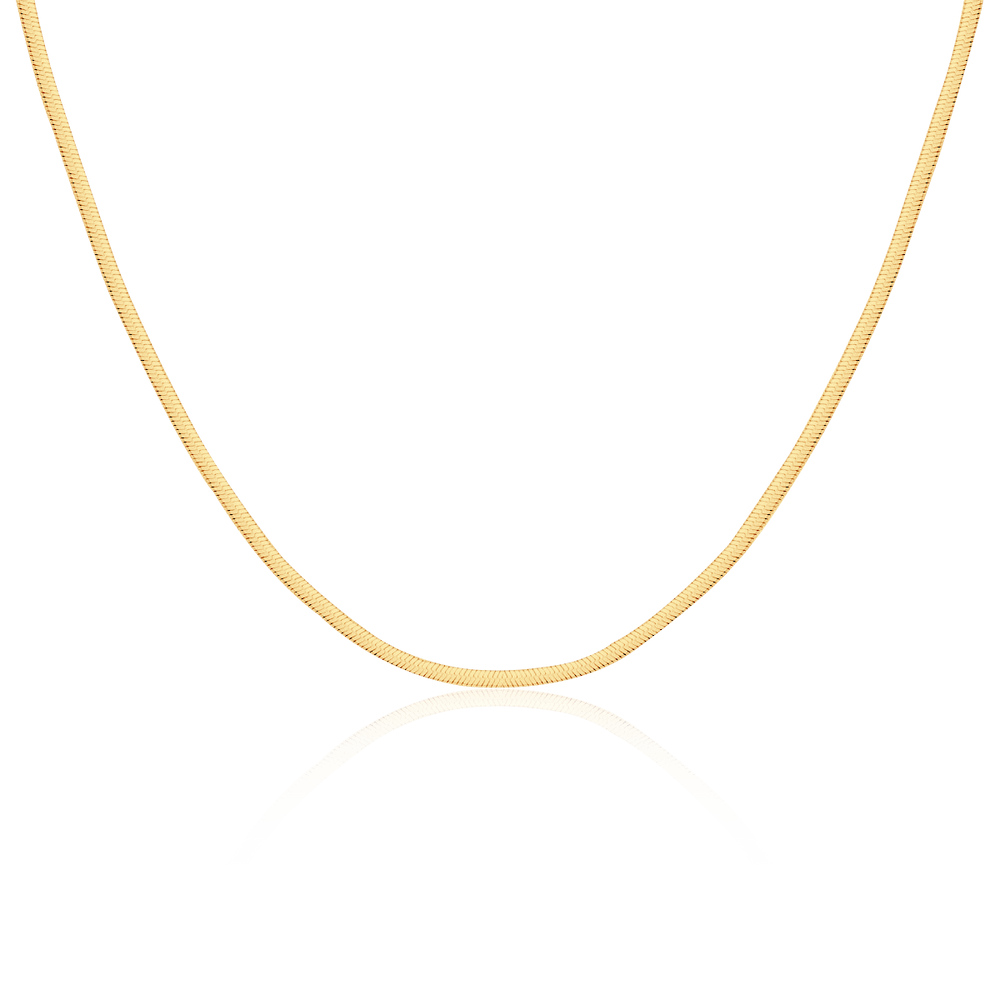 Collar Taylor 3MM