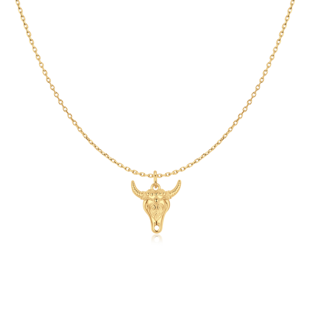 Collar Texas