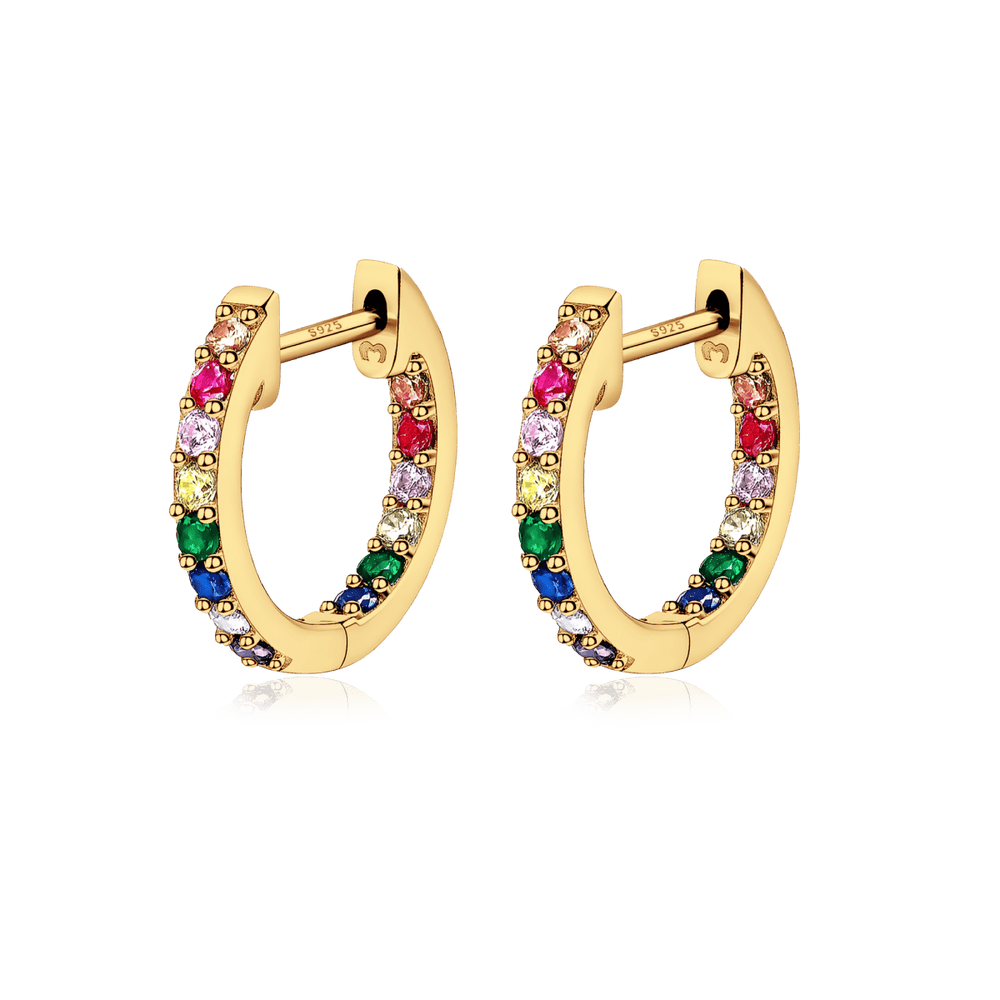 Multicolor Hoop Earrings