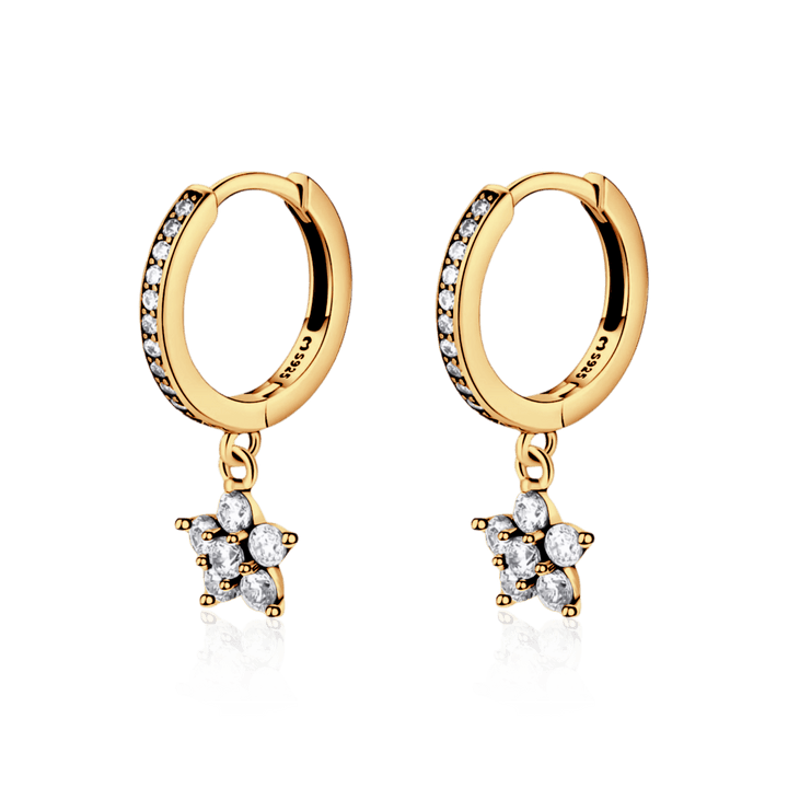Pendientes Florecita Brillante