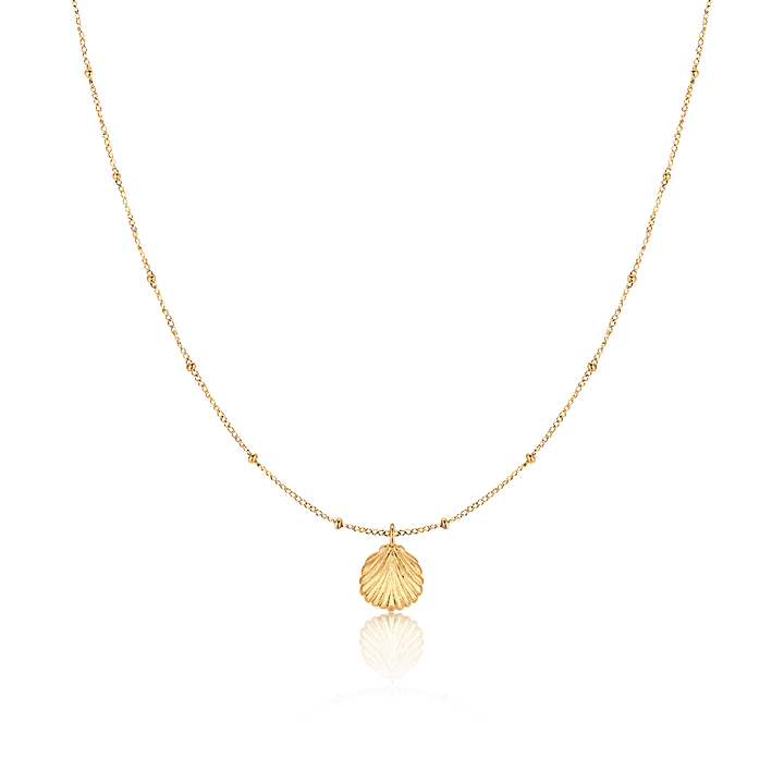 Collar Concha Marina