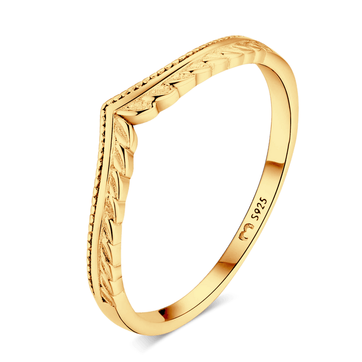Anillo Spigot