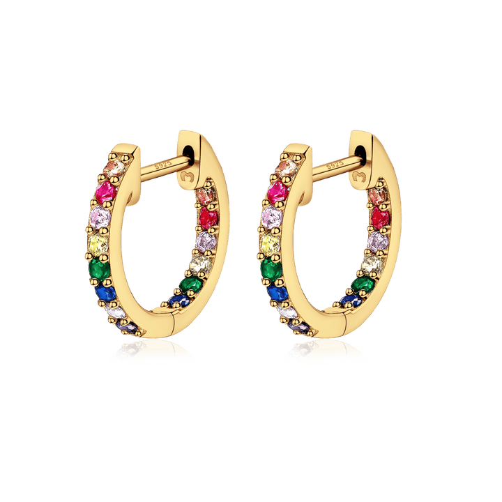 Multicolor Hoop Earrings